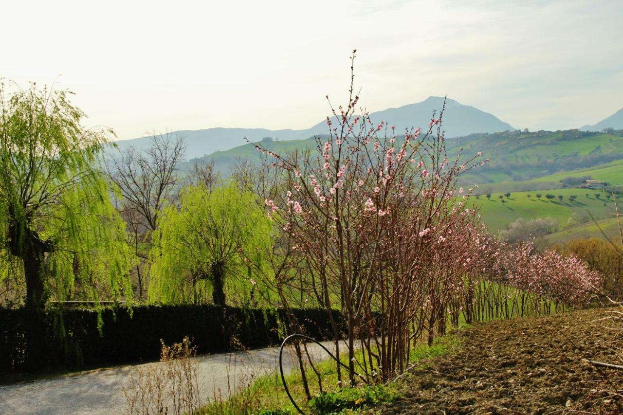 Casa Di Campagna Villa De Luca Bellante Kültér fotó